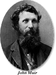 Photograph of John Muir as a younger man