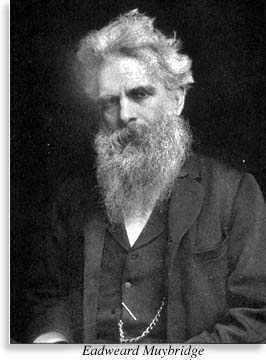 portrait of Eadweard Muybridge