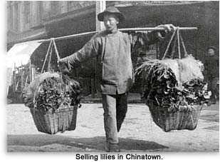 man with bamboo pole selling lilies in Chinatown